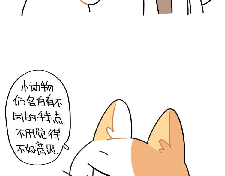 第72话：晕倒的小兔子-第72话