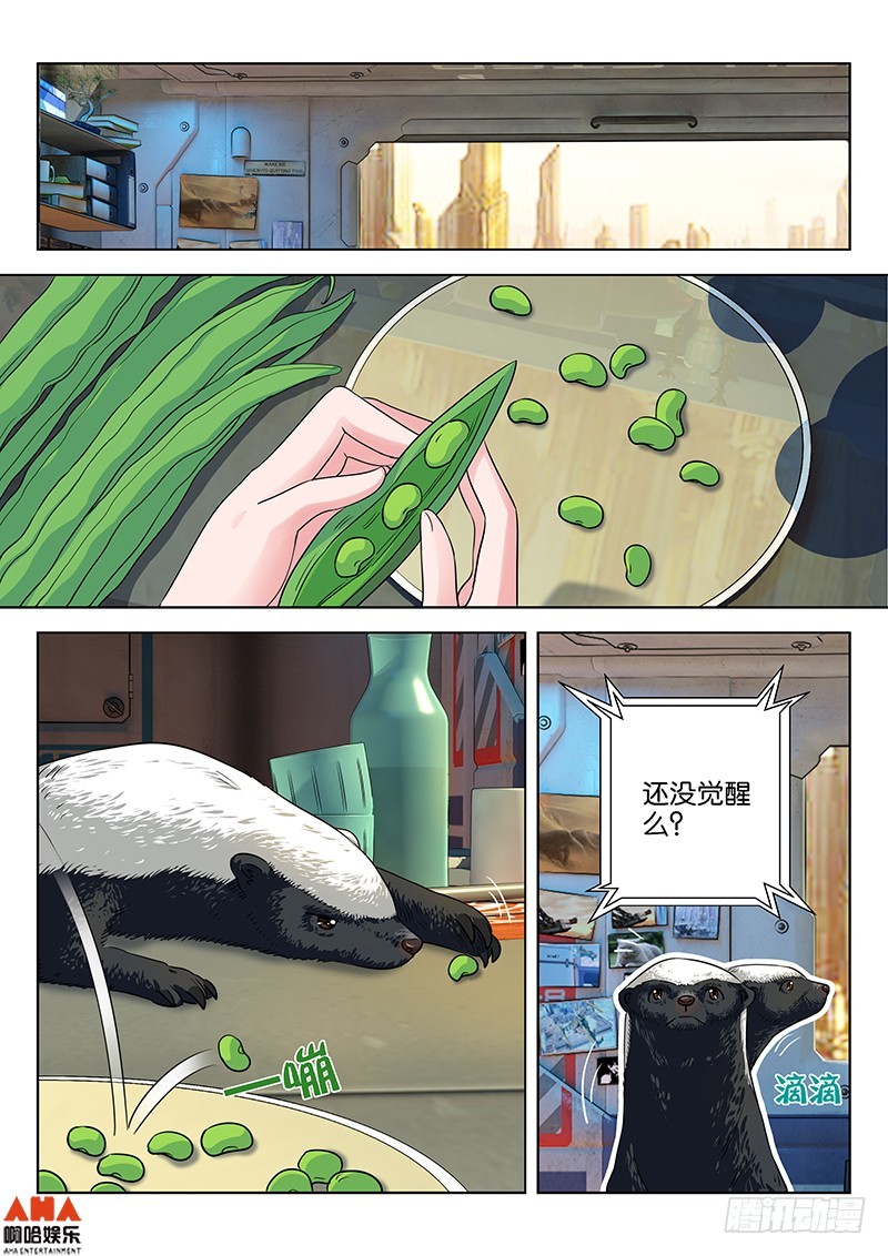 &ldquo;失败&rdquo;的费南雪-第10话