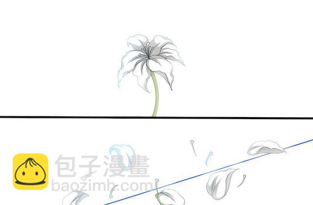 第4话 蔷薇的选择-第4话