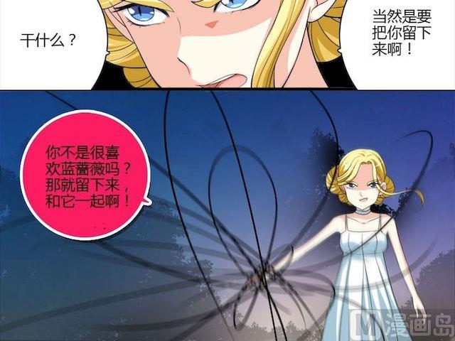 第4话 蔷薇的选择-第4话