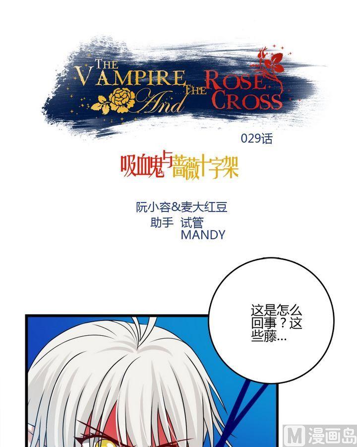 第29话 共生魔法的诅咒-第28话