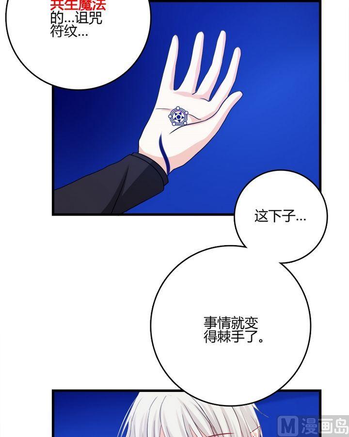 第29话 共生魔法的诅咒-第28话