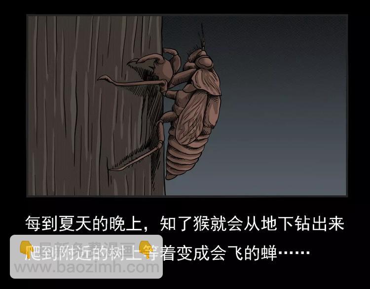 第2话 夏夜诡事(1/2)-第2话