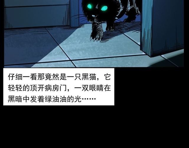 槍爺異聞錄 - 第159話  醫院裡的黑貓(2/3) - 8