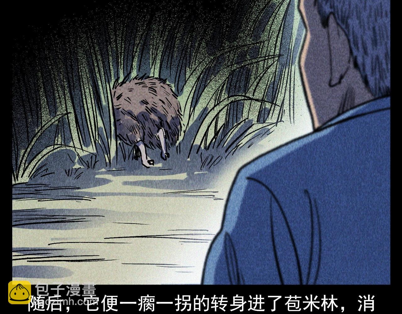 槍爺異聞錄 - 第334話 白仙醫(2/2) - 4