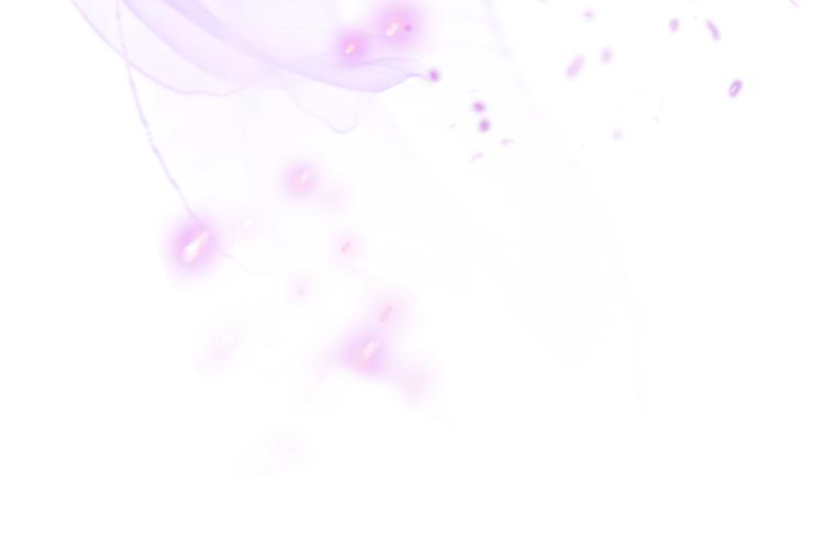 31.南海之旅（一）(1/2)-第30话