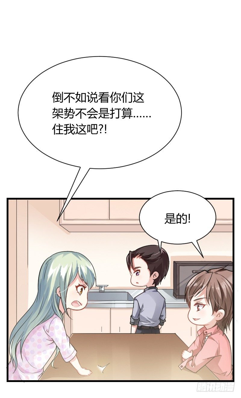 什么！同居！(1/2)-第12话