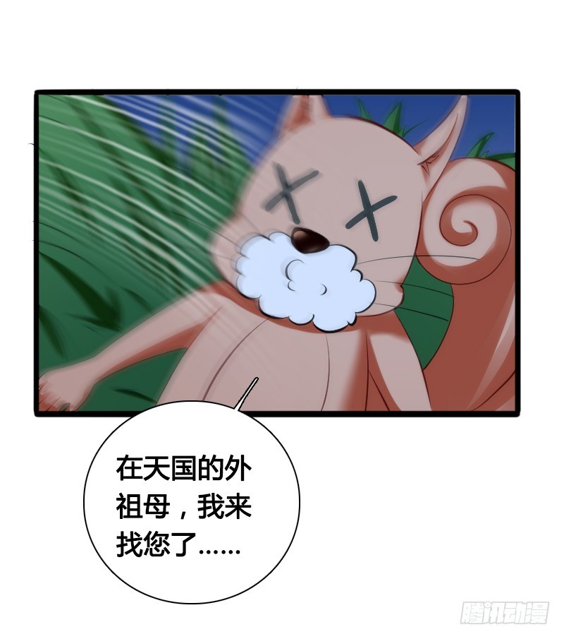 68 小可爱不知去向-第68话