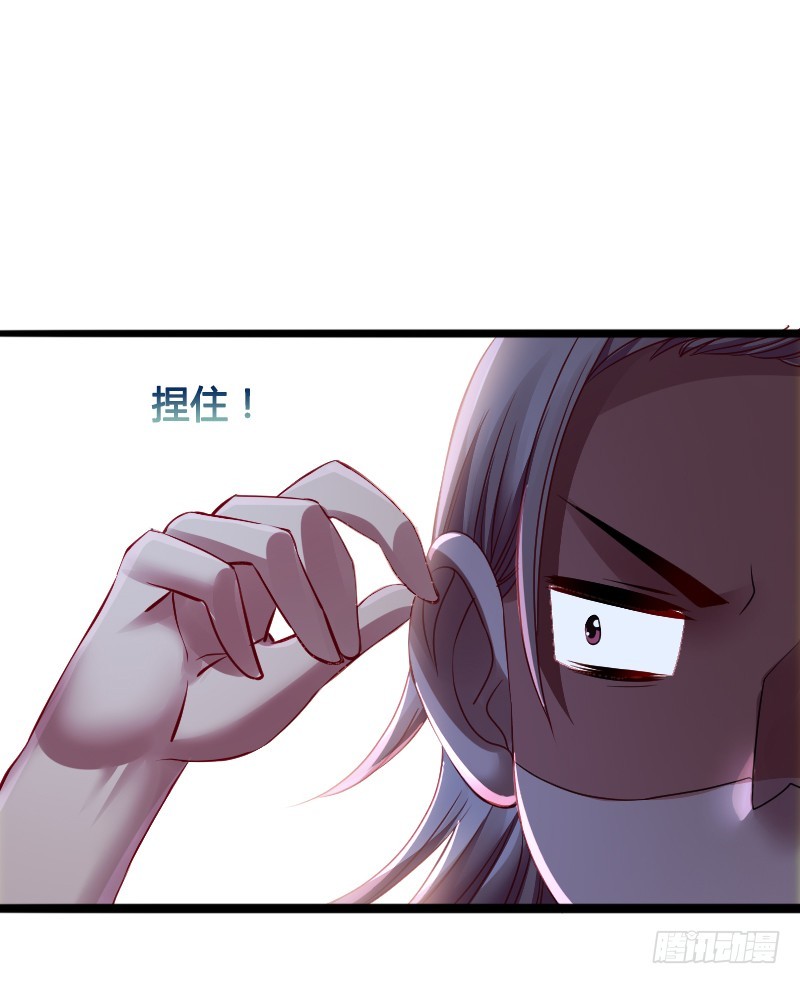 68 小可爱不知去向-第68话