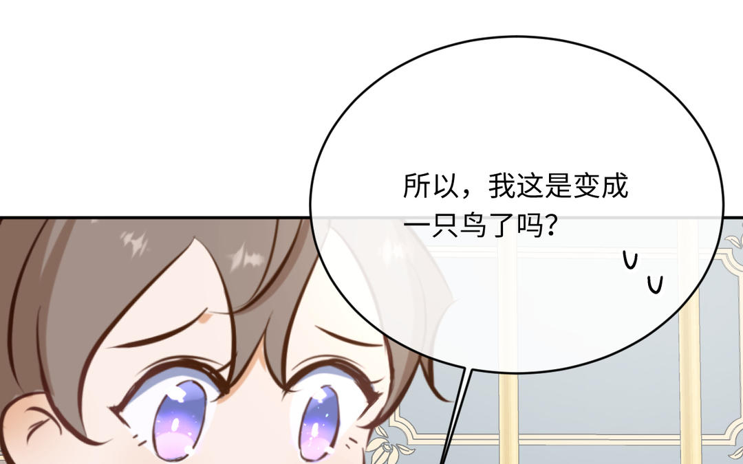 第15话 自由了(1/3)-第16话