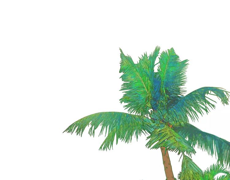 第20话(1/2)-第20话