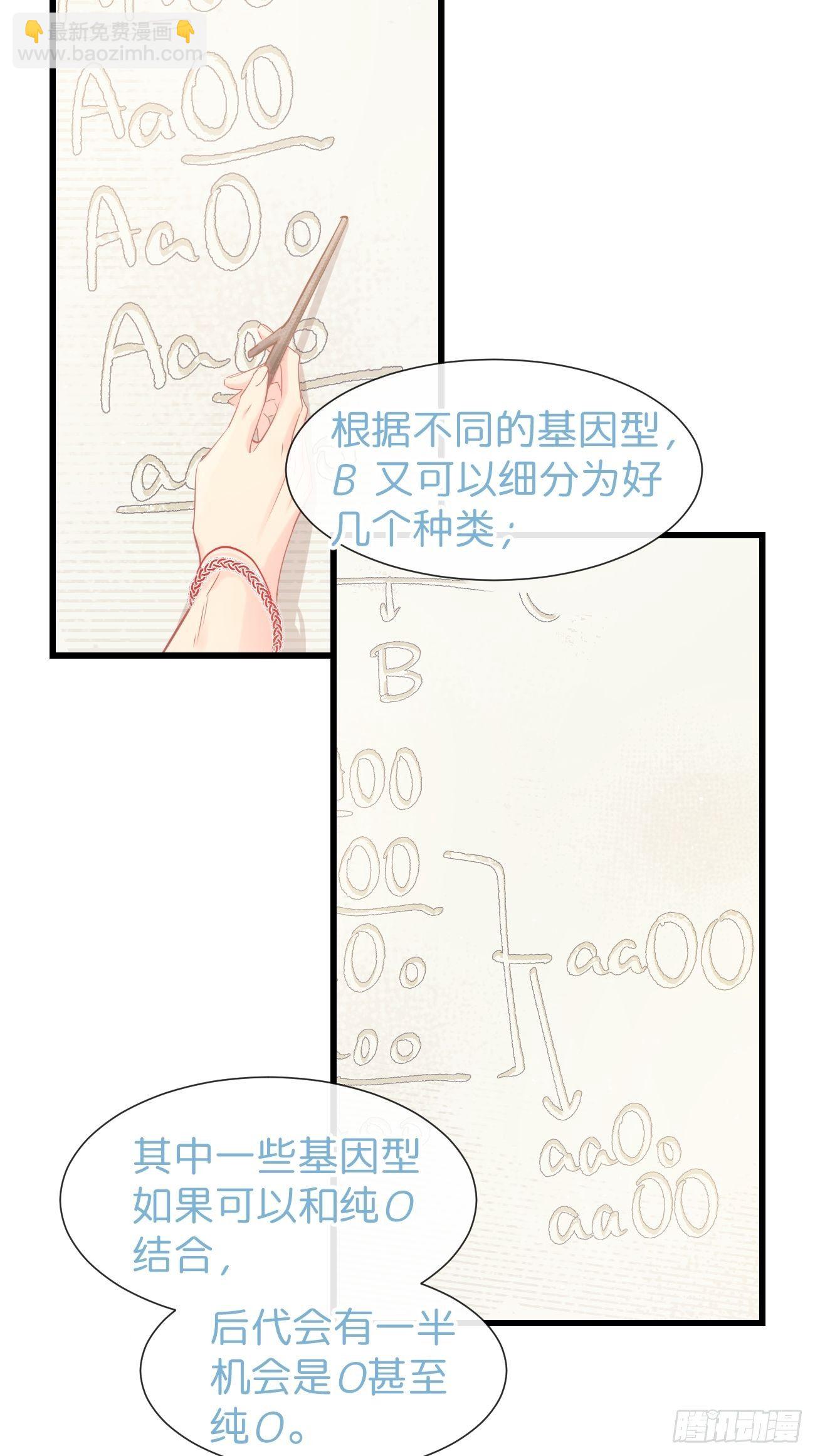 ◆20上◆ B-第48话