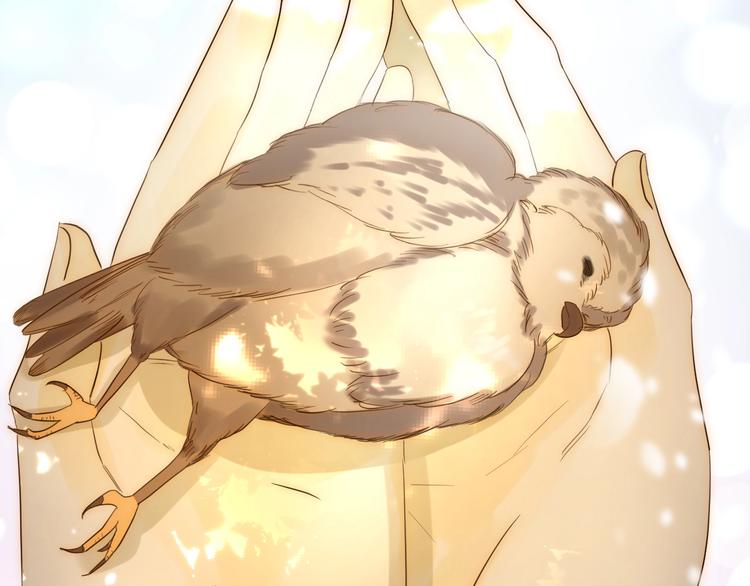 第28话  羁绊(1/4)-第30话