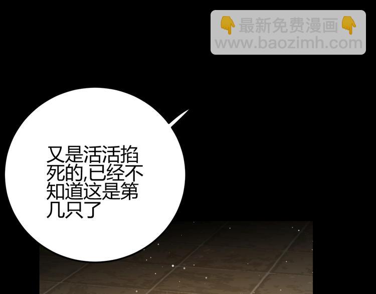 第35话  奥朗则布的过去(1/5)-第38话