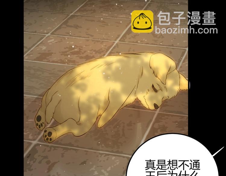 第35话  奥朗则布的过去(1/5)-第38话