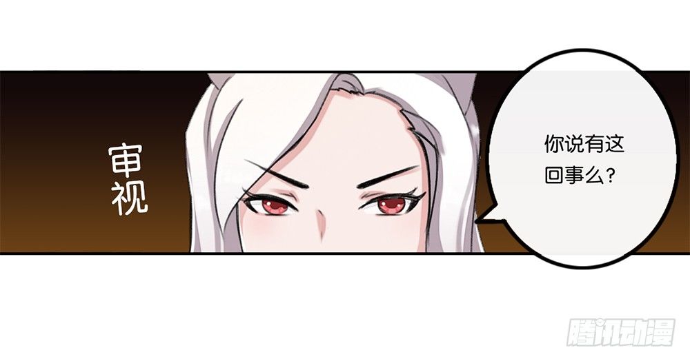 新客人（上）-第12话