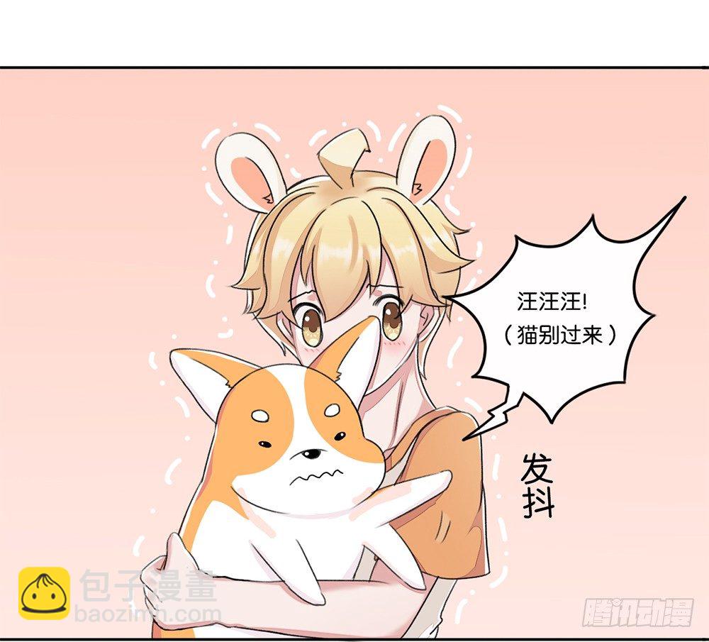 新客人（上）-第12话