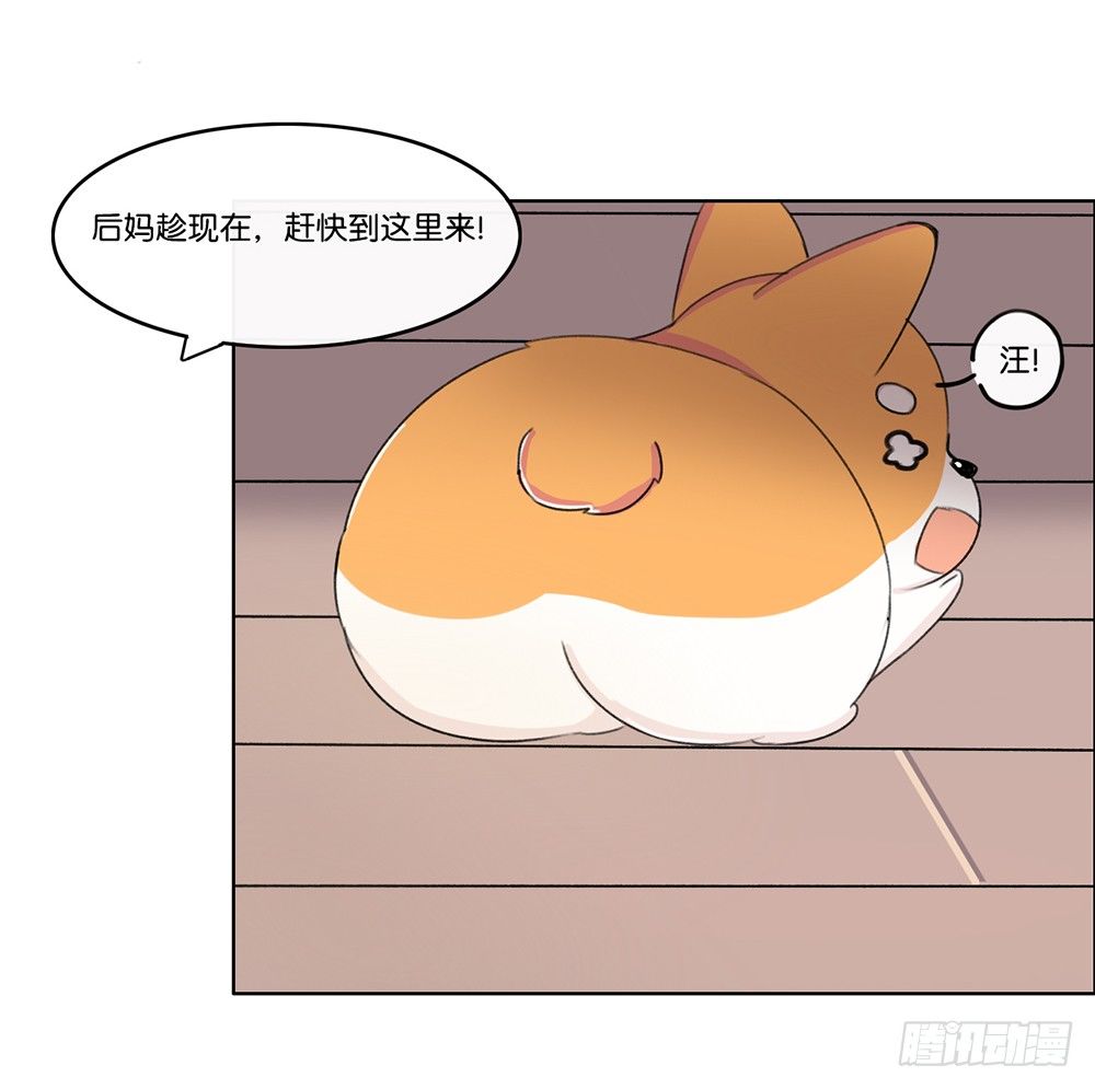 新客人（下）-第14话