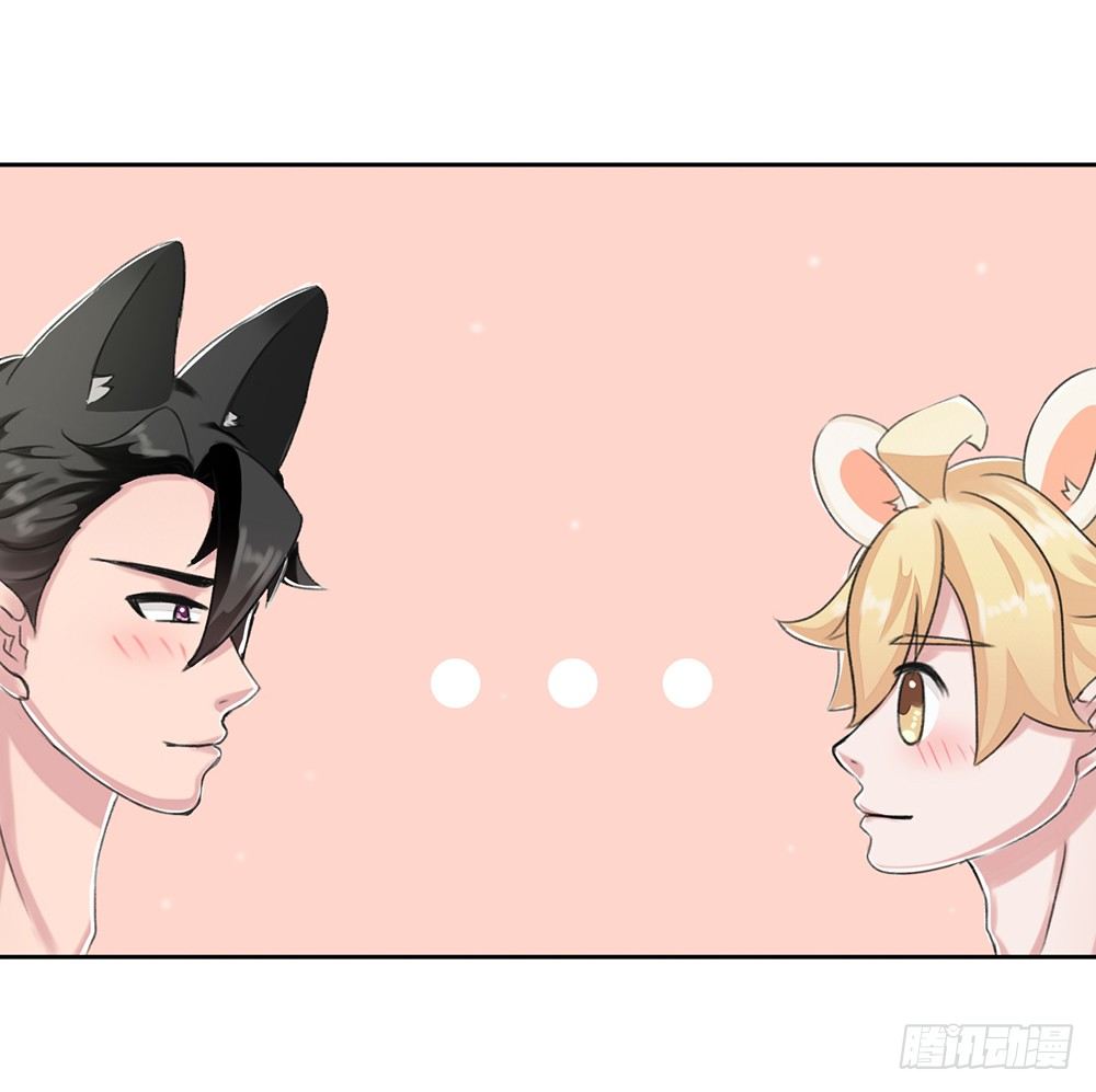 新客人（下）-第14话