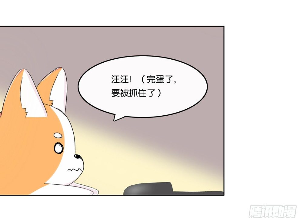 新客人（下）-第14话