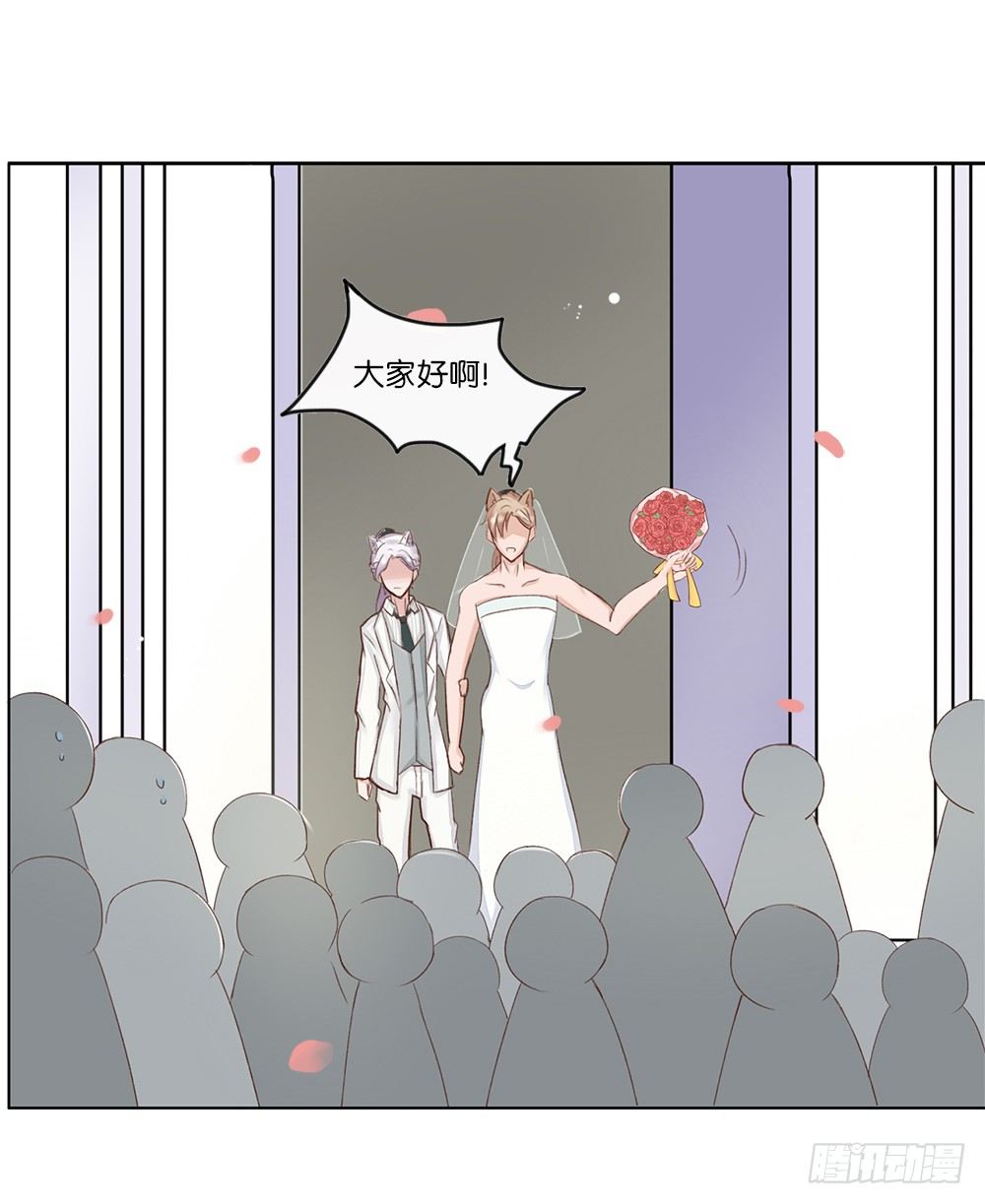 婚礼进行曲（三）-第24话