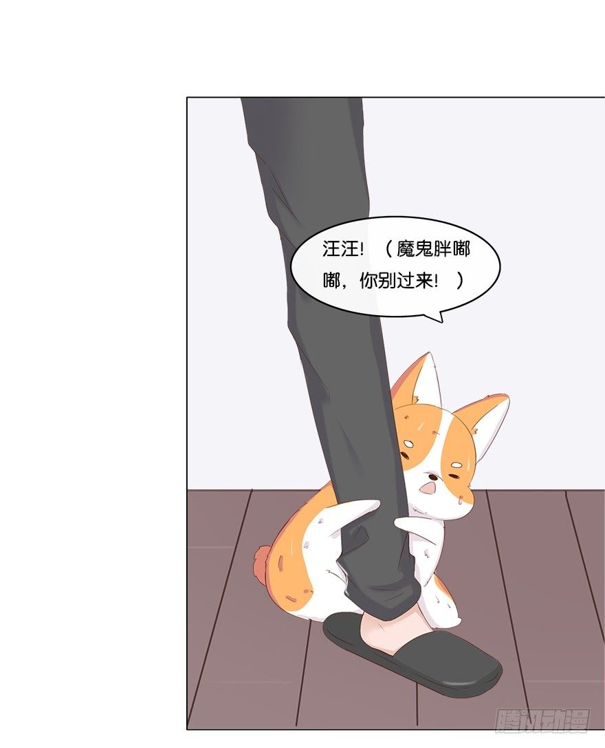 我的告白（二）-第30话