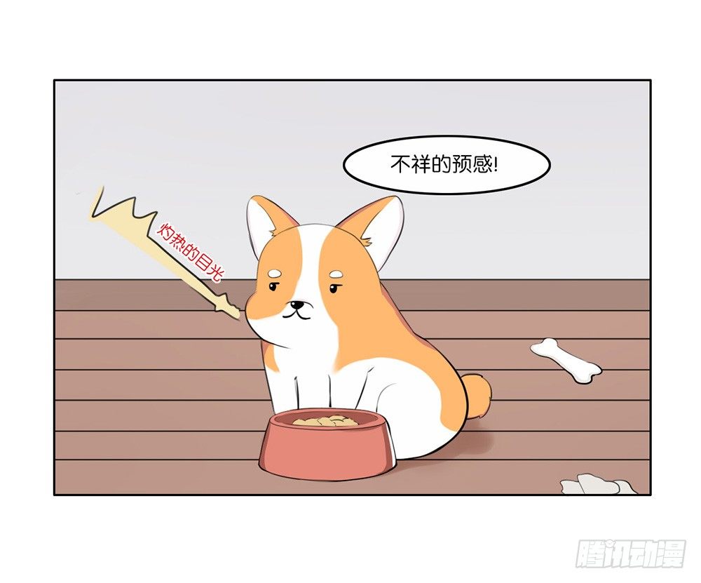 懒散的夏日（上）-第4话