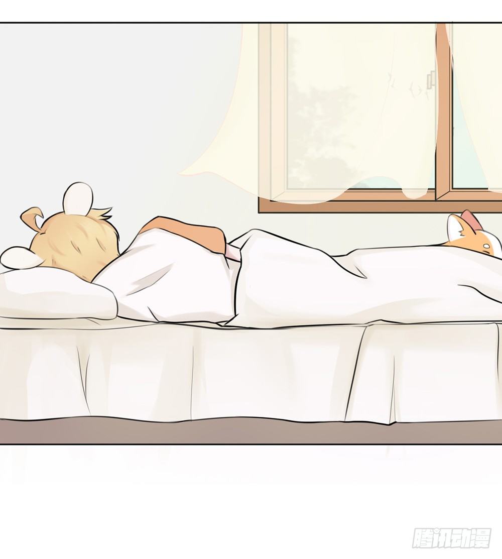 懒散的夏日（上）-第4话