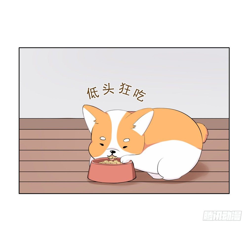 懒散的夏日（上）-第4话