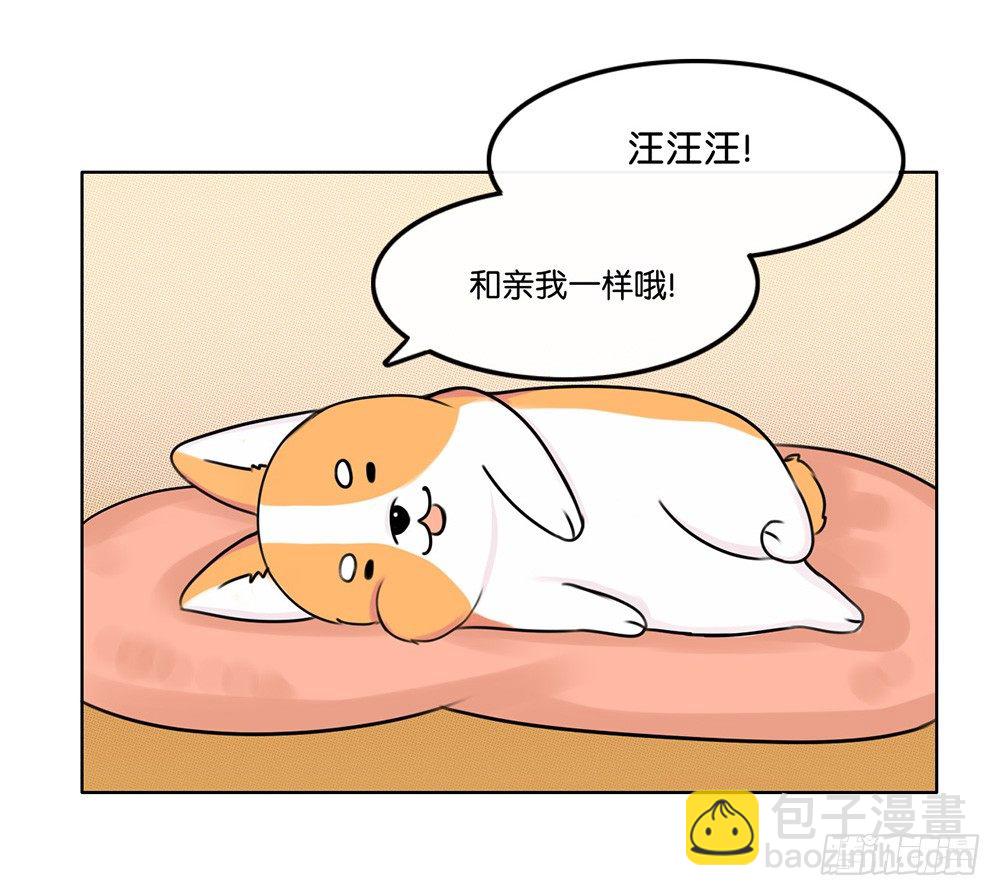 甜蜜的约会（中）-第10话