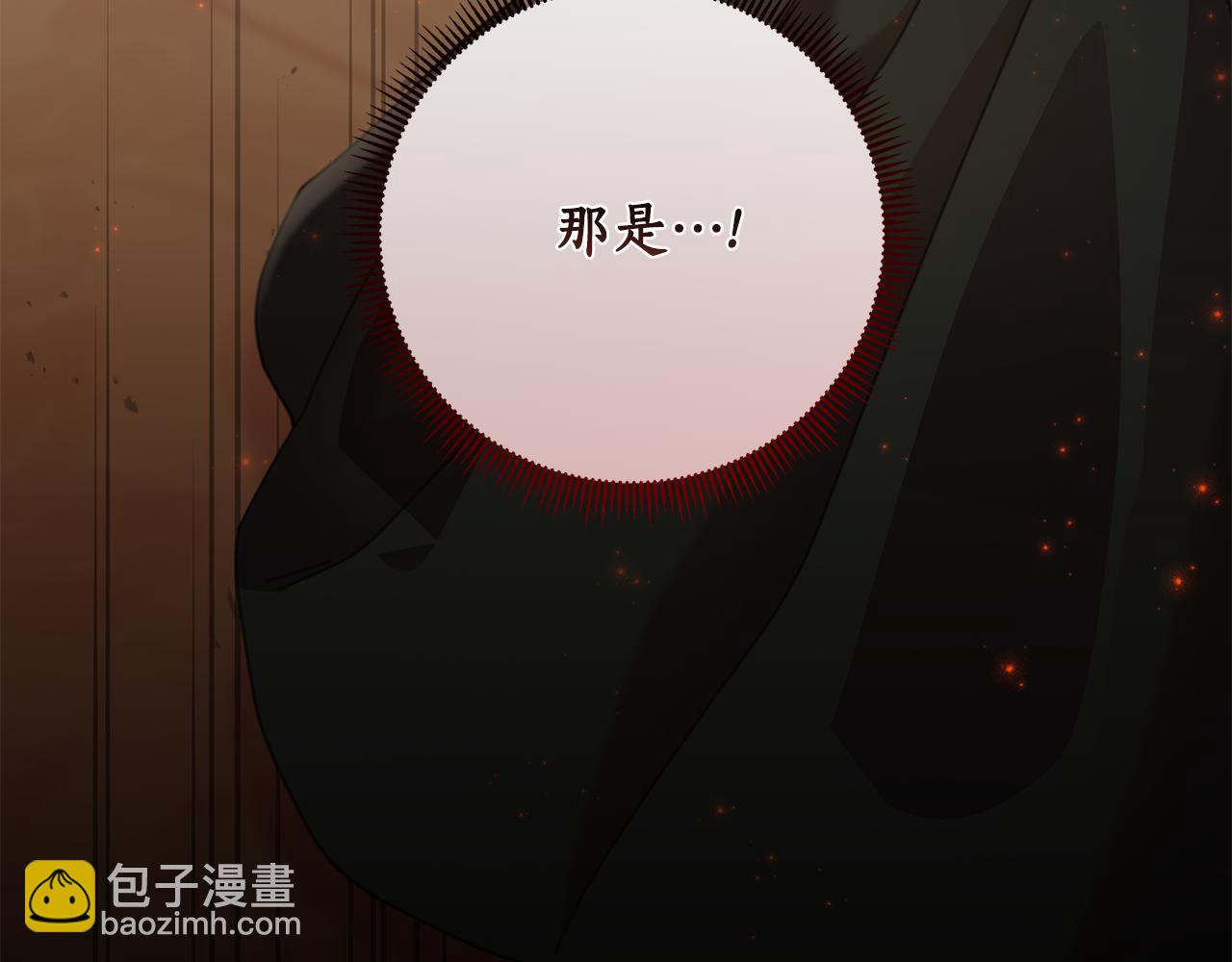 棄坑作者被迫當女主 - 第71話 遇襲(1/4) - 4