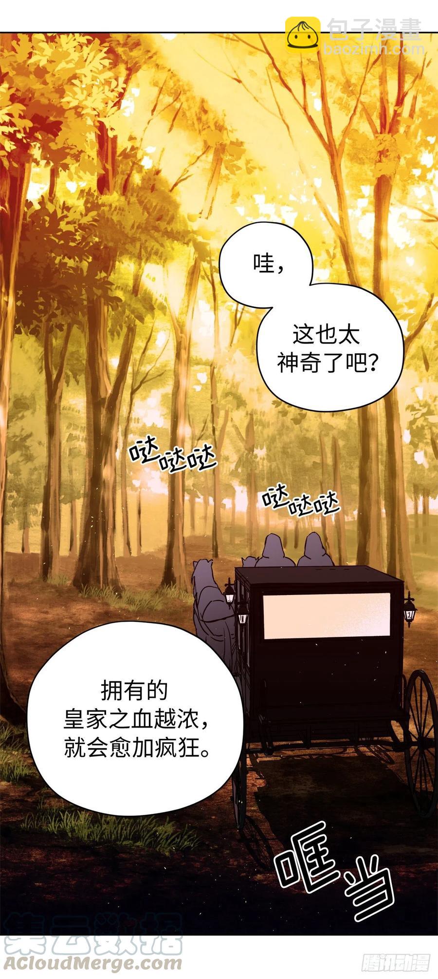 琪拉的美男圖鑑 - 189.重獲安寧的安珂利皇子 - 3