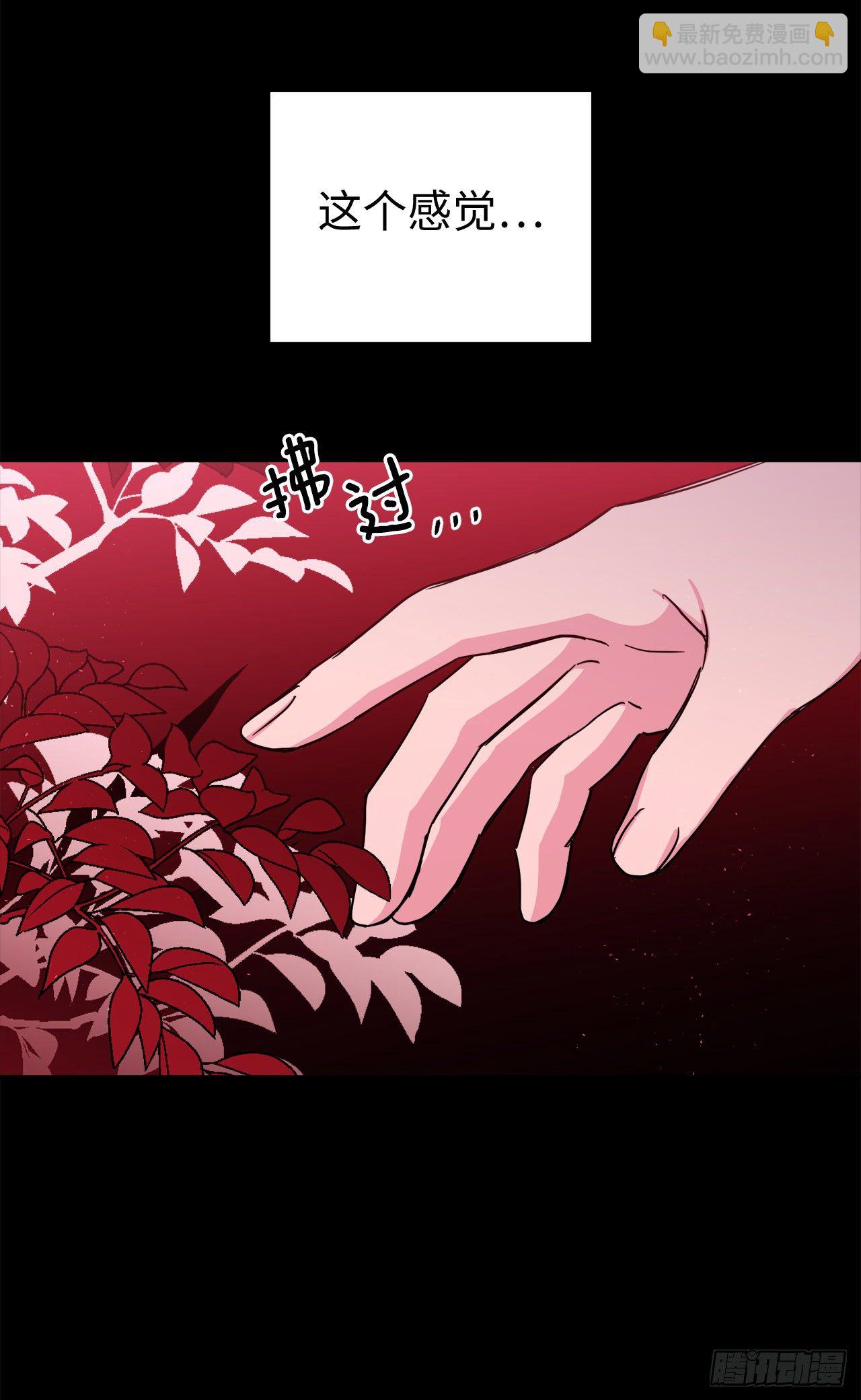 琪拉的美男圖鑑 - 215.我穿越到了魔界？ - 4