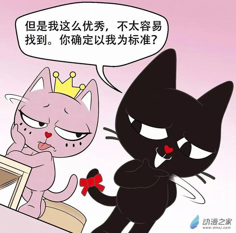 奇MEOW公寓 - 奇葩的擇偶標準 - 1