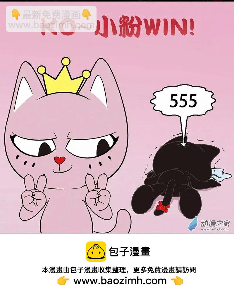 奇MEOW公寓 - 奇葩的擇偶標準 - 3