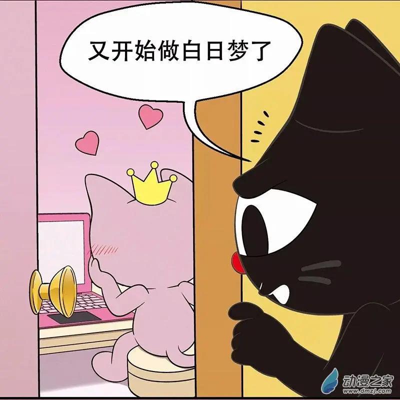 奇MEOW公寓 - 奇葩的择偶标准 - 1