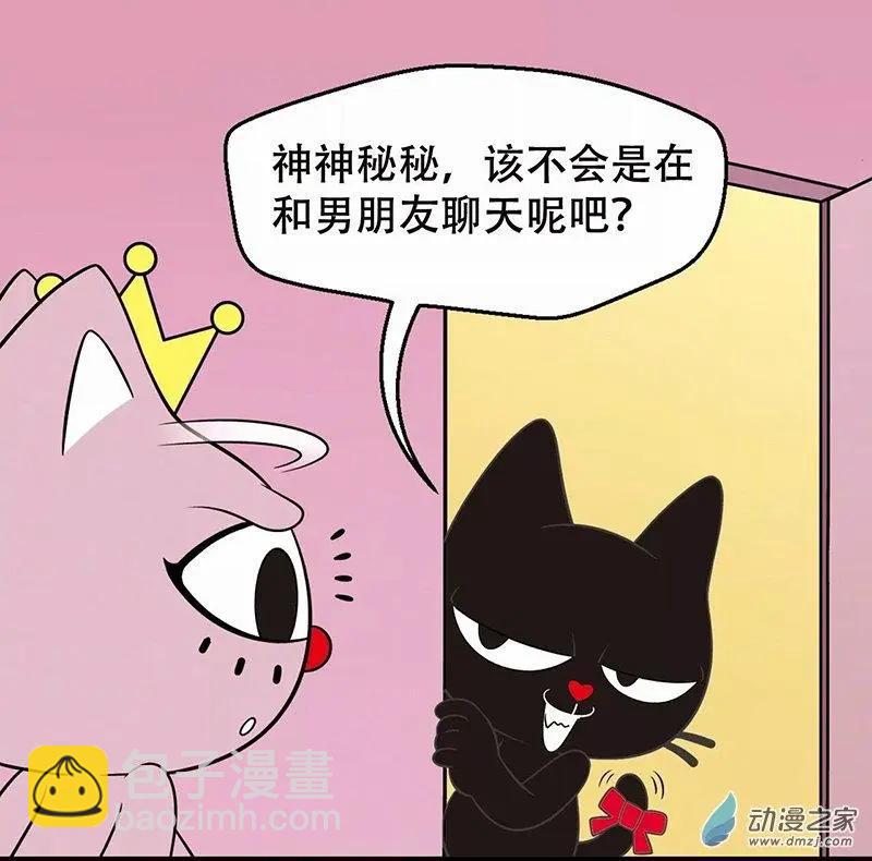 奇MEOW公寓 - 奇葩的擇偶標準 - 2