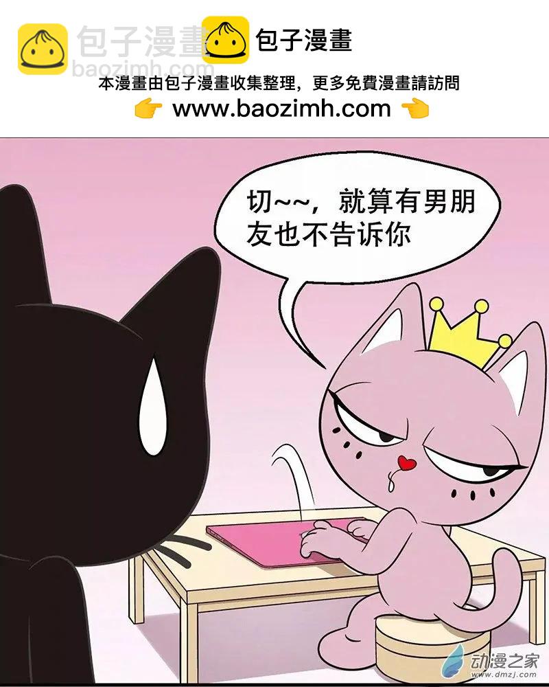 奇MEOW公寓 - 奇葩的擇偶標準 - 3