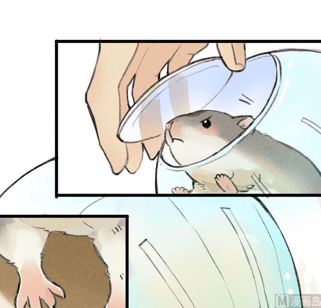 第30话他说：有我在，请不再害怕-第30话