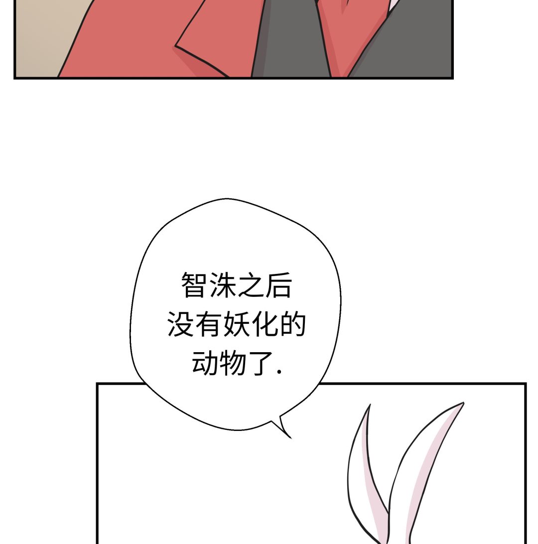 第48话 动物妖化(1/2)-第48话