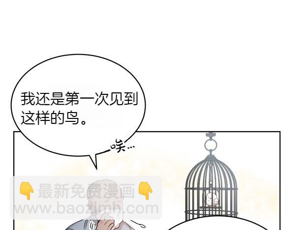 親愛的，不要按那個按鈕 - 第2話 脾氣差的小鳥(1/4) - 3