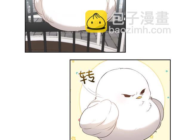 親愛的，不要按那個按鈕 - 第2話 脾氣差的小鳥(1/4) - 6