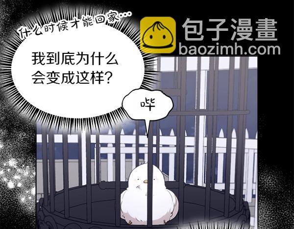 親愛的，不要按那個按鈕 - 第2話 脾氣差的小鳥(1/4) - 1