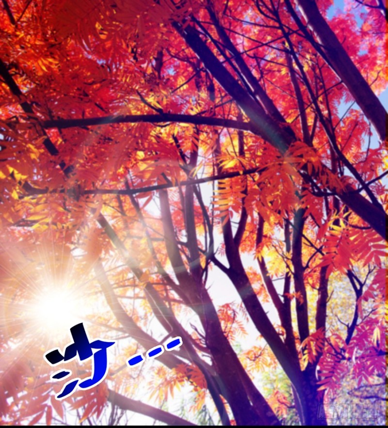 第28话 甜蜜的苦涩-第28话