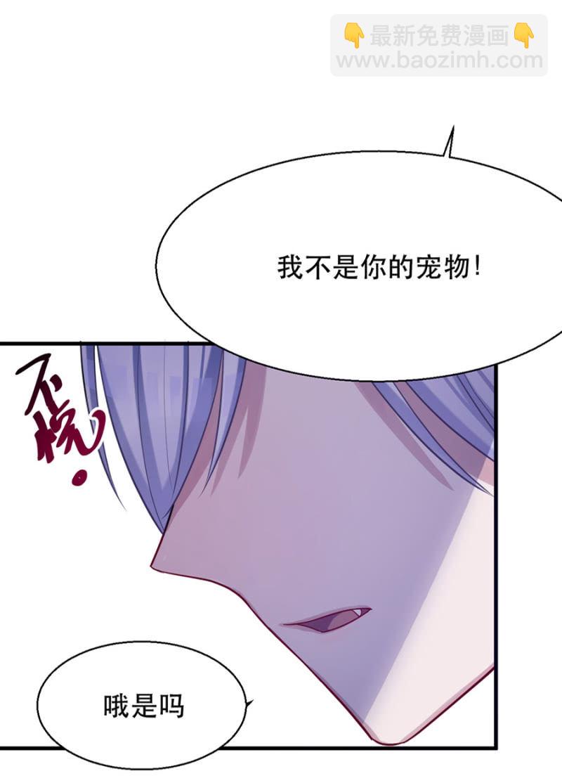 宠物的样子-第8话