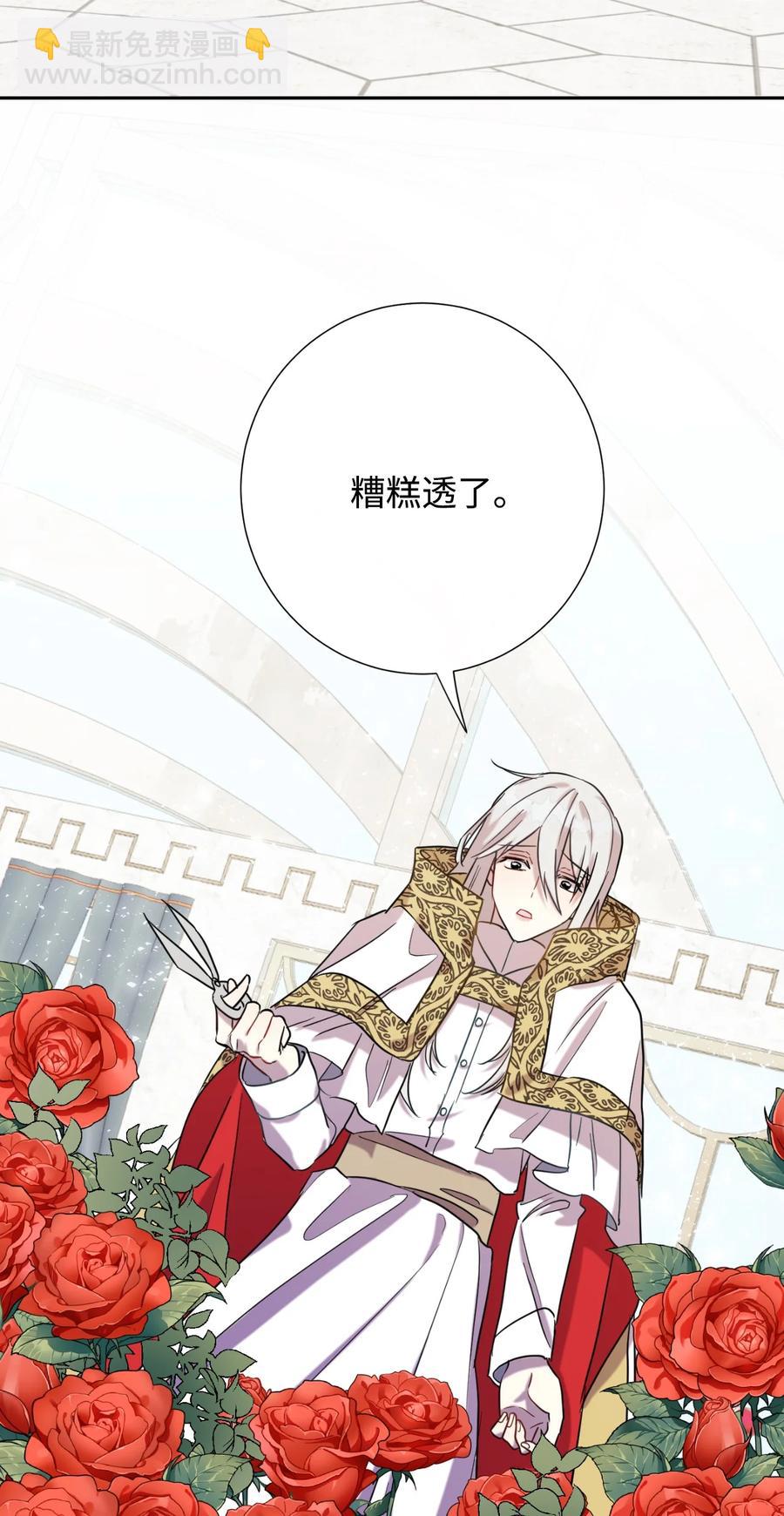 029 王妃？还是皇后？(1/2)-第30话