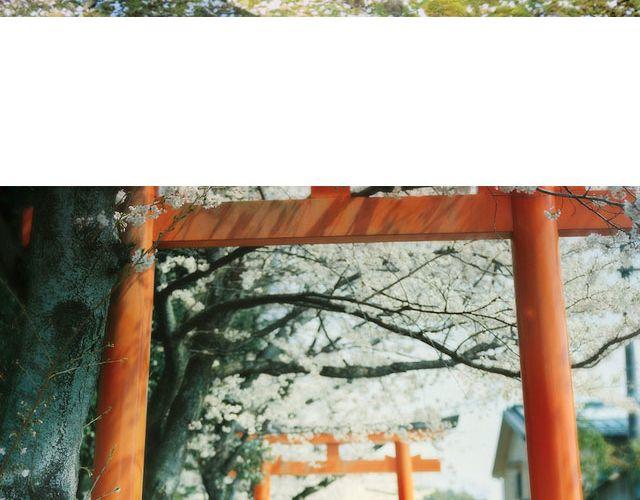 青春Orange - 第16期 每一朵春花，都是治癒系 | @overwater、@overwind - 6