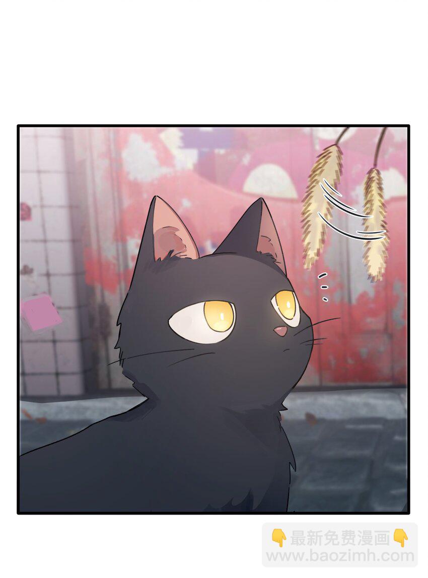 Track033 来看我们的演出吗-第38话