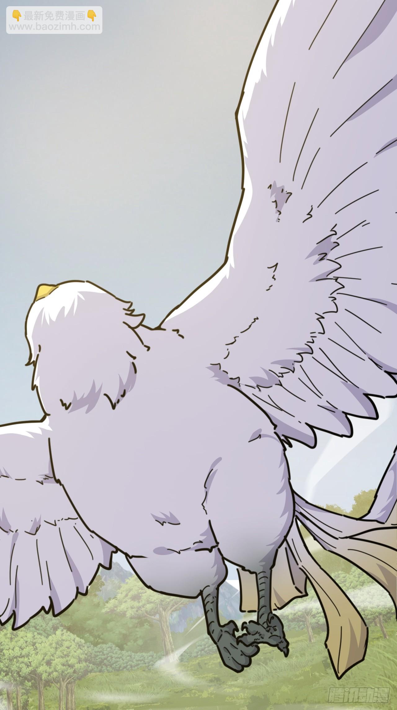 12话  不需要轮换(1/2)-第12话