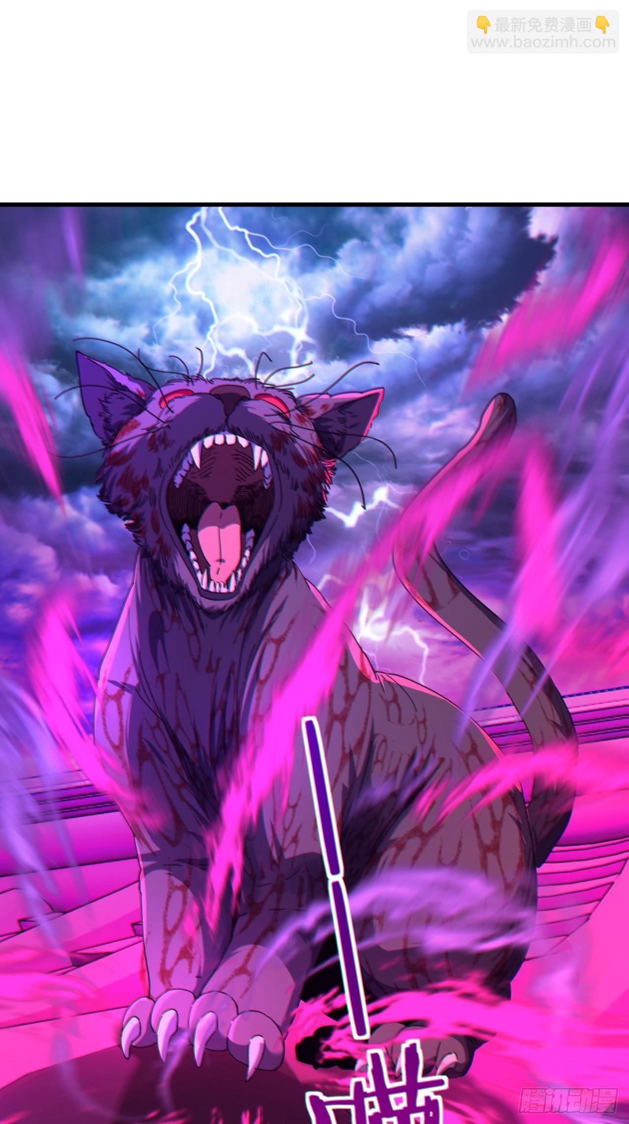 06话  猫妖的诱惑(1/2)-第6话